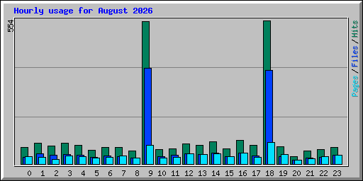 hourly_usage_202608.png