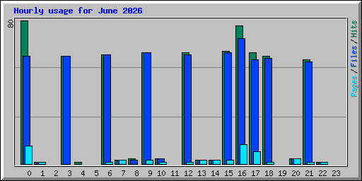 hourly_usage_202606.png