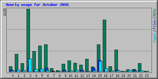 hourly_usage_202610.png
